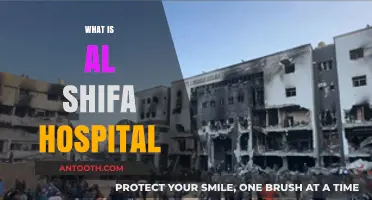 Understanding Al Shifa Hospital: A Comprehensive Overview