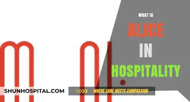 Exploring Alice: A Journey into Hospitality's Wonderland