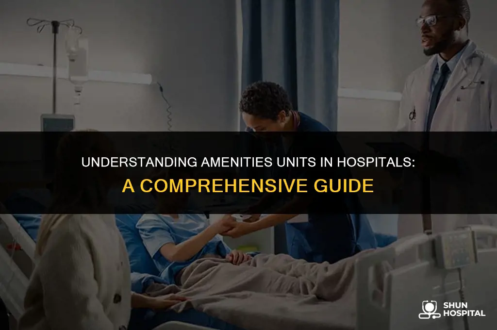 what is amenities unit hospital