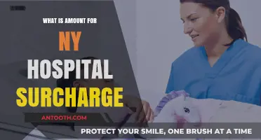 Understanding New York's Hospital Surcharge Fees