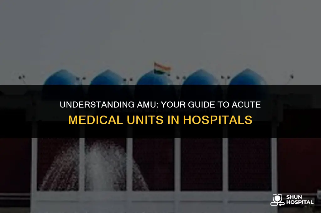 what is amu in hospital