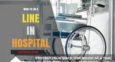Understanding Hospital A-Lines: What You Need to Know