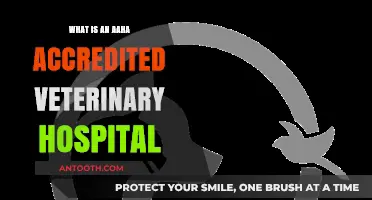 Veterinary Hospitals: AHA Accreditation Explained
