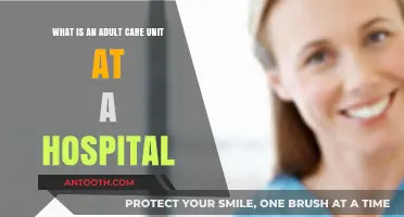 Understanding Adult Care Units: Hospital Services for Elderly Patients
