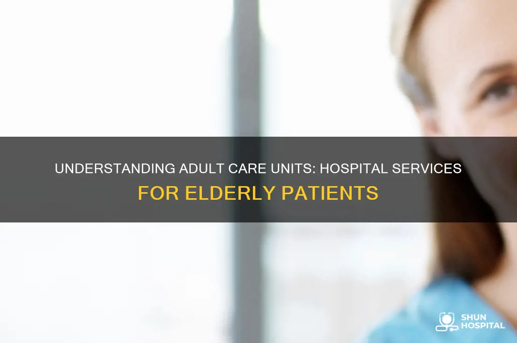 what is an adult care unit at a hospital