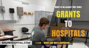 Understanding Agencies That Provide Grants to Hospitals for Healthcare Improvement