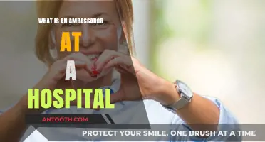 Hospital Ambassador: A Role in Patient Care