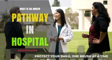 Understanding Hospital Amber Pathways: Efficient Patient Care