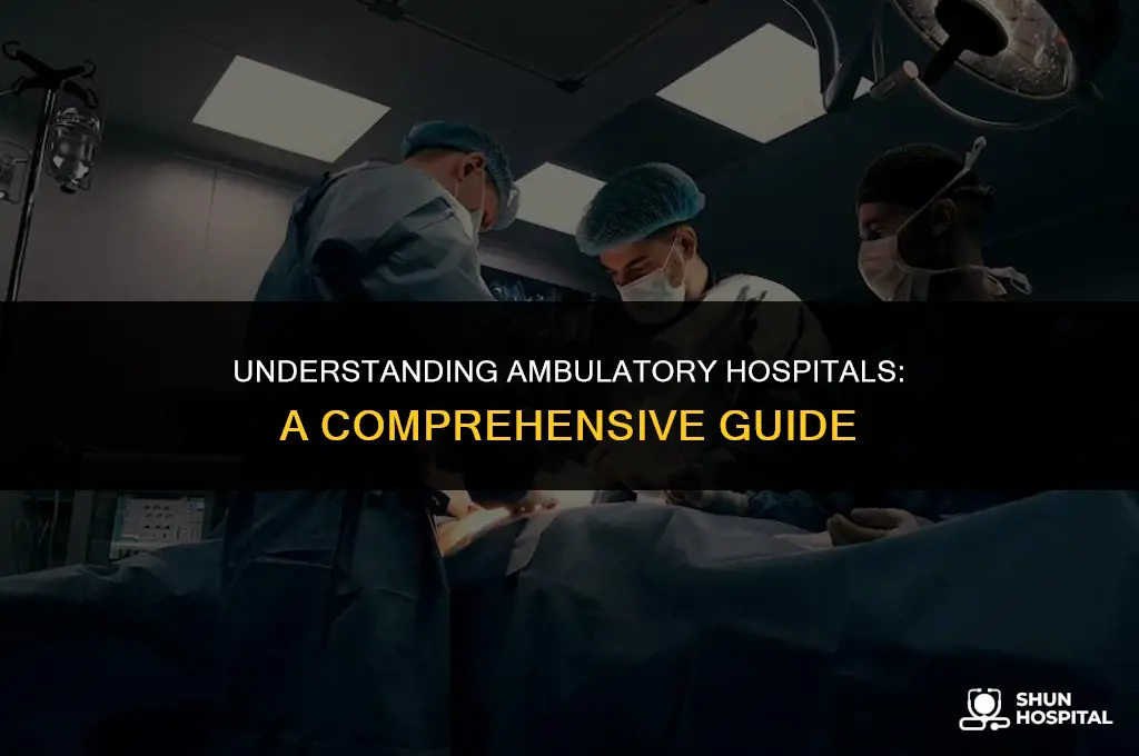 what is an ambulatory hospital
