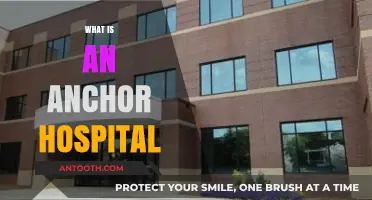 Understanding Anchor Hospitals: A Cornerstone of Healthcare Systems