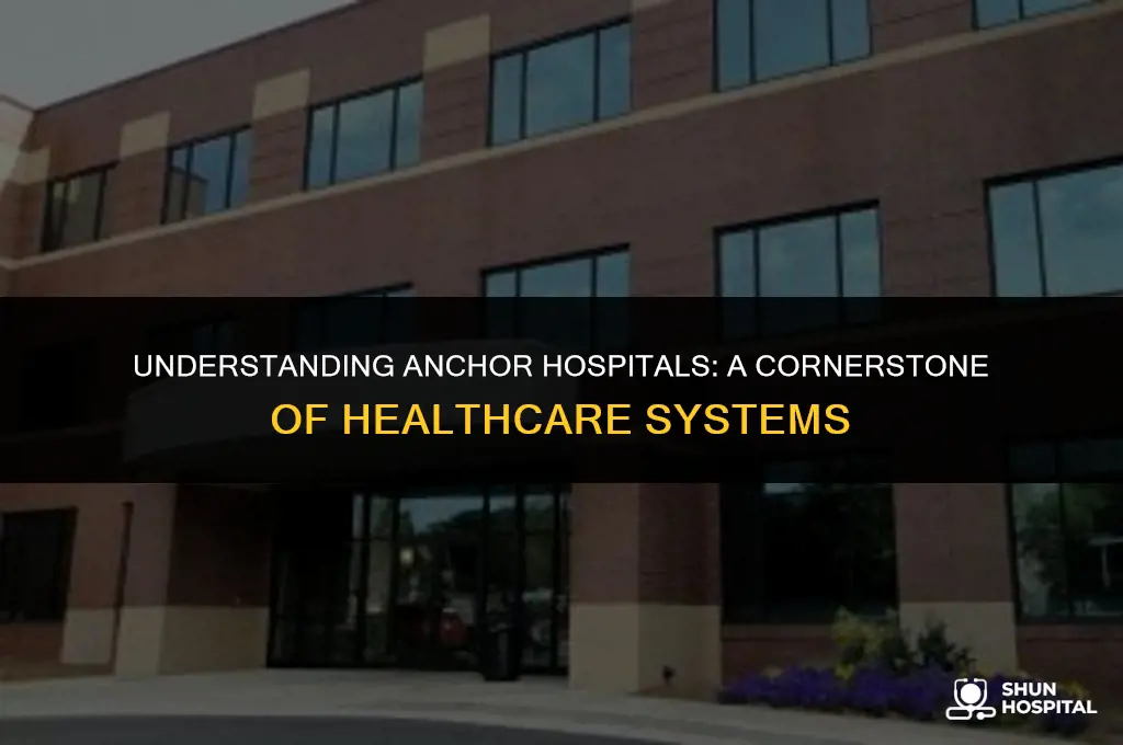 what is an anchor hospital