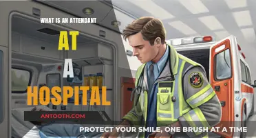 Hospital Attendants: Helping Patients, Saving Lives
