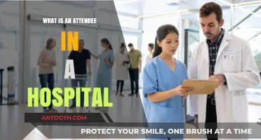 Hospital Attendees: Who Are They and What Do They Do?