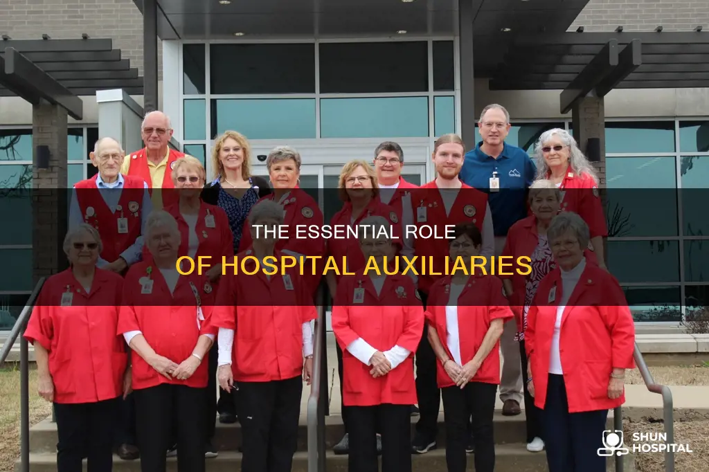 what is an auxiliary in a hospital