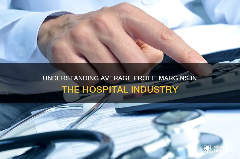 what is an avergae profit margin in a hospita