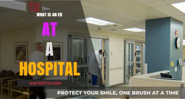 Emergency Departments: Saving Lives, Explained