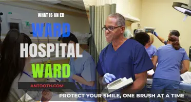 Understanding ED Ward Hospital Wards