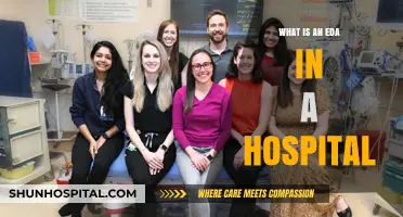 Electronic Data Capture: Streamlining Hospital EDAs