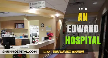 Understanding Edward Hospital: A Comprehensive Guide to Its Services