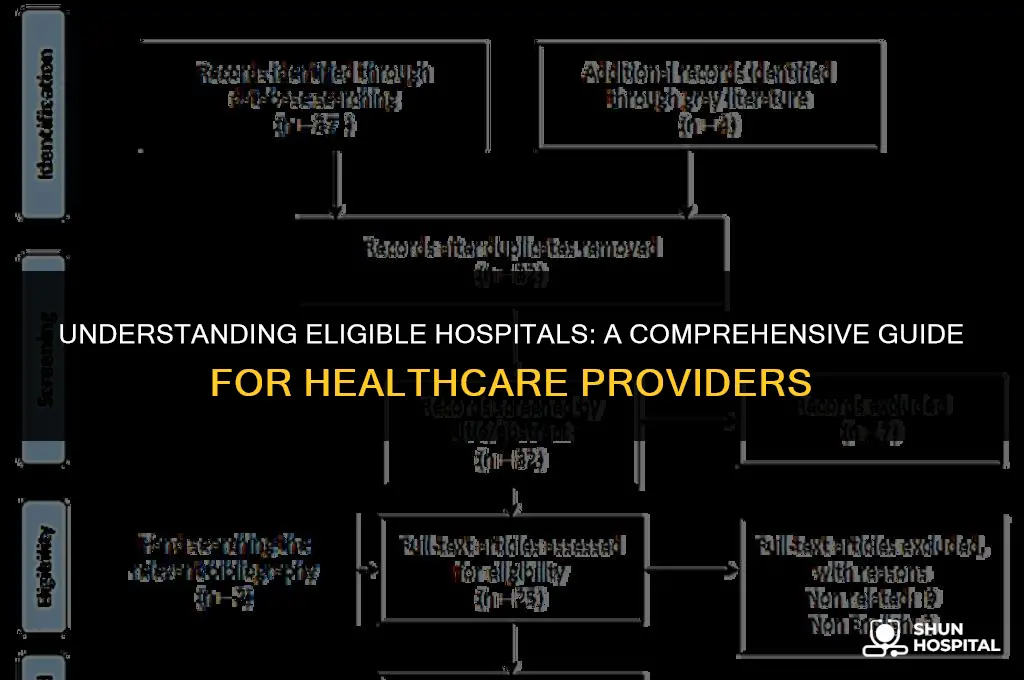 what is an eligible hospital