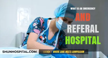 Emergency and Referral Hospitals: Comprehensive Care, Always Prepared