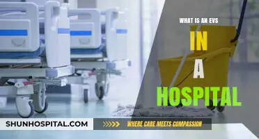 Hospital EVS: Enhancing Patient Experience and Safety