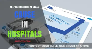 Local Hospital Causes: Examples of Community-Driven Healthcare Initiatives