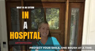 Exploring Hospital Externs: Their Role and Importance