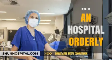 Behind the Scenes: The Indispensable Role of Hospital Orderlies