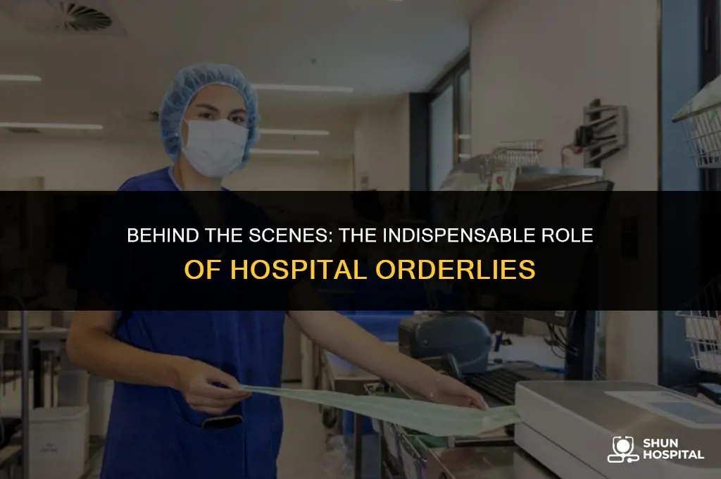 what is an hospital orderly