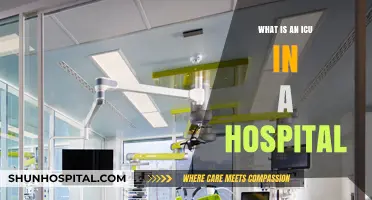 ICU: Critical Care for the Most Vulnerable Patients