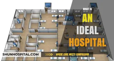 Exploring the Blueprint of an Ideal Hospital: A Comprehensive Guide