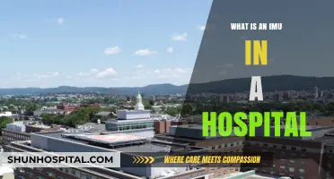 IMUs: Revolutionizing Patient Care in Hospitals
