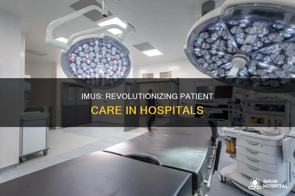 what is an imu in a hospital