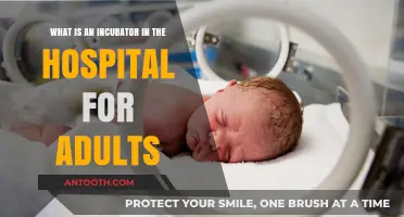 Understanding Adult Hospital Incubators: Purpose, Function, and Benefits