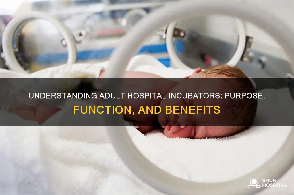 what is an incubator in the hospital for adults
