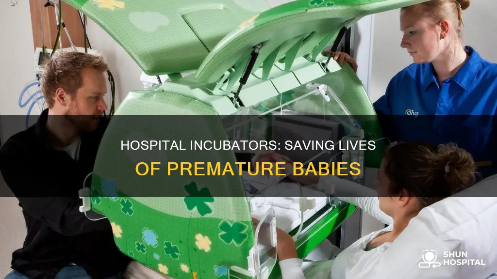 what is an incubator in the hospital