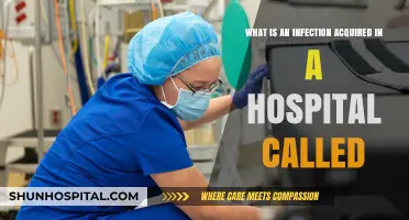 Understanding Hospital-Acquired Infections: Causes, Risks, and Prevention Strategies