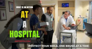 Hospital Interns: An Inside Look at Their Roles and Responsibilities