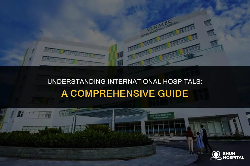 what is an international hospital