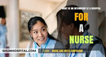 Exploring Hospital Nursing Internships: Roles, Benefits, and Career Growth