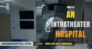 Understanding Intratheater Hospitals: A Comprehensive Guide