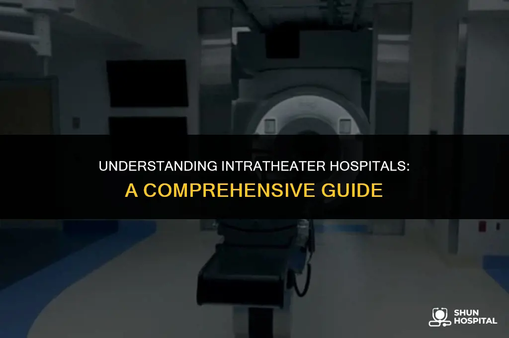 what is an intratheater hospital