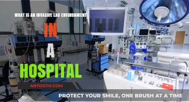 Understanding Invasive Lab Environments in Hospital Settings: Key Insights