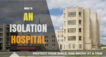 Understanding Isolation Hospitals: A Comprehensive Guide