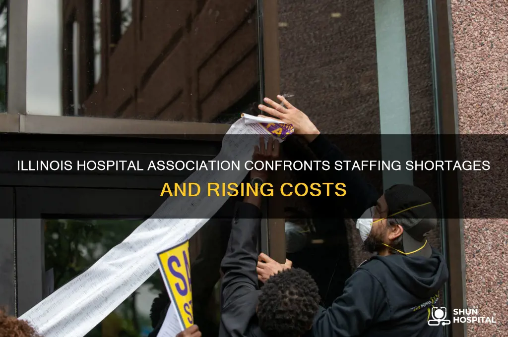 what is an issue facing the illinois hospital association currently