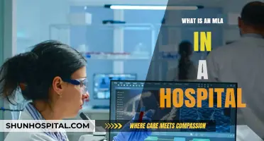 Understanding the Hospital MLA: Their Role and Responsibilities