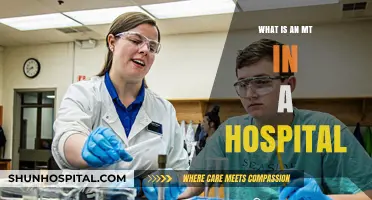 Medical Transcriptionists: Vital Hospital Record Keepers