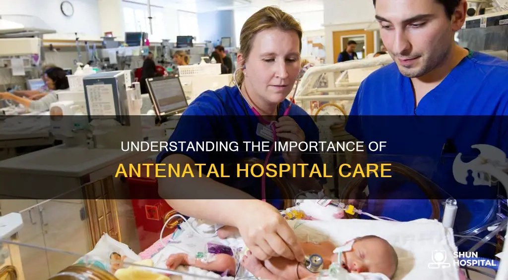 what is an ntepartum unit in hospital