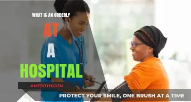 Hospital Orderlies: Essential Support for Healthcare Operations